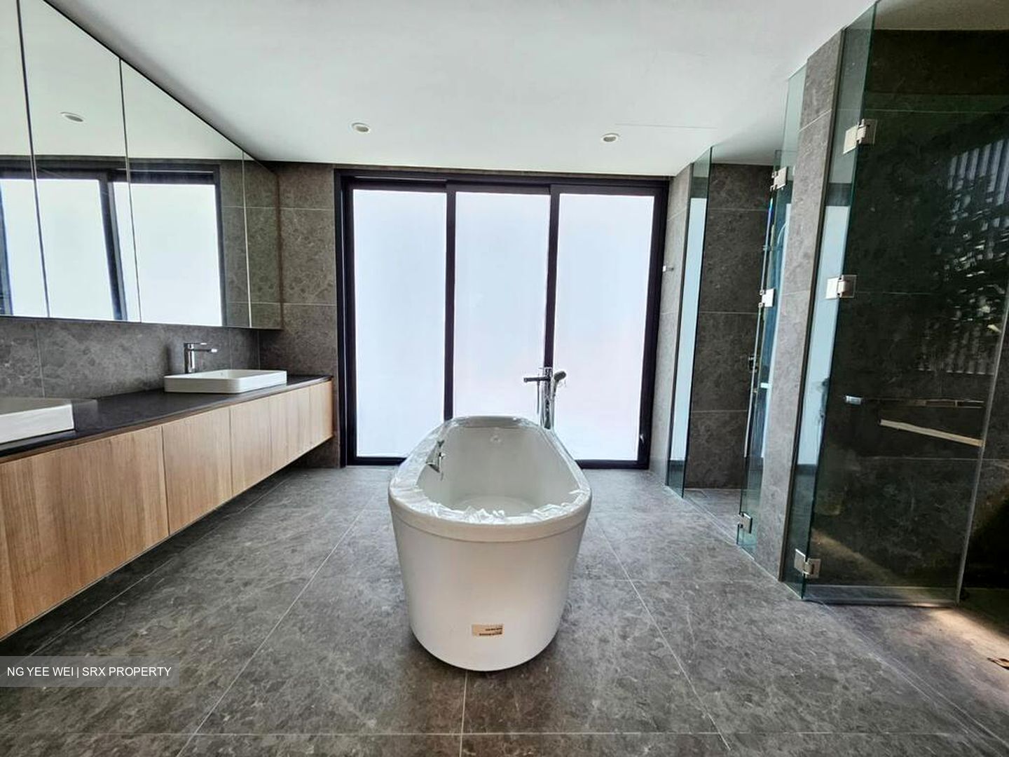 Hong Kong Park (D21), Detached #545950361